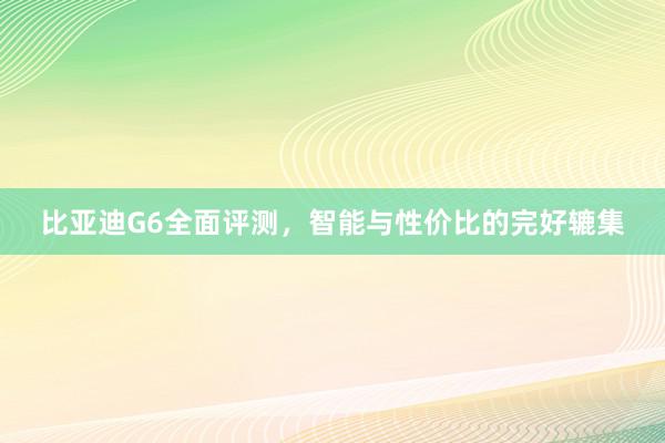 比亚迪G6全面评测，智能与性价比的完好辘集