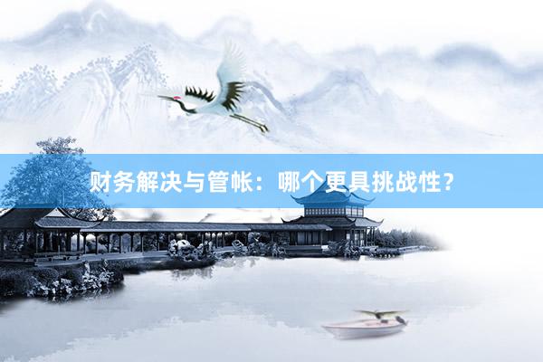 财务解决与管帐：哪个更具挑战性？
